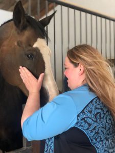 Ali Herbrandson massaging one of her horse clients.